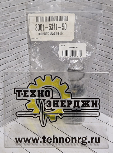 картинка 3001531150 Ремкомплект THERMOSTAT VALVE 55 DEG C | Техно Энерджи