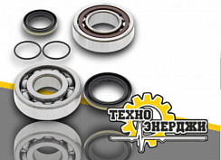 картинка 2901202100 Ремкомплект ELEMENT OVERHAUL KIT C90 | Техно Энерджи