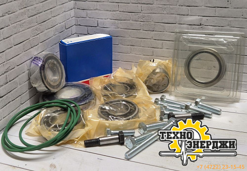 картинка 3001150038 Ремкомплект ELEM.OVERH.KIT C67 H11 (с сальником) | Техно Энерджи