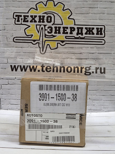 картинка 3001150038 Ремкомплект ELEM.OVERH.KIT C67 H11 (с сальником) | Техно Энерджи